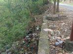 Sampah-berserakan-di-bahu-jalan-negara-Lintas-Flores.jpg