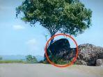 Sarang-Ular-di-Tanjung-Kajuwulu.jpg
