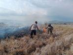 Sawah-di-Lembor-Terbakar.jpg