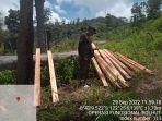 Tampak-petugas-mengecek-kayu-di-SIkka-yang-disitas-Polisi.jpg