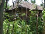 Warga-di-Pondok-di-Amfoang.jpg