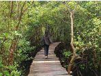pengunjung-saat-melewati-jembatan-bambu-di-Wisata-Mangrove-Mageloo.jpg