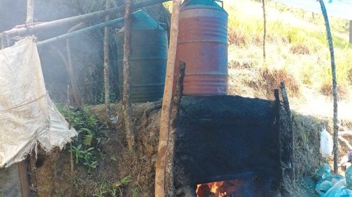 Harga Minyak Serai Wangi di Gayo Lues Kembali Turun Menjadi Rp 260.000/Kilogram