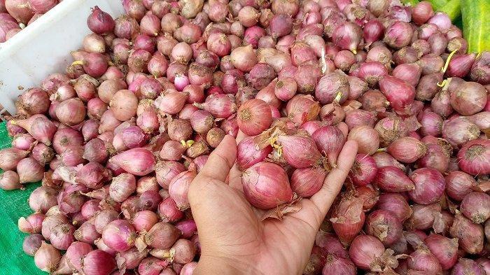 Harga Bawang Merah Tingkat Petani di Gayo Lues Kembali Turun