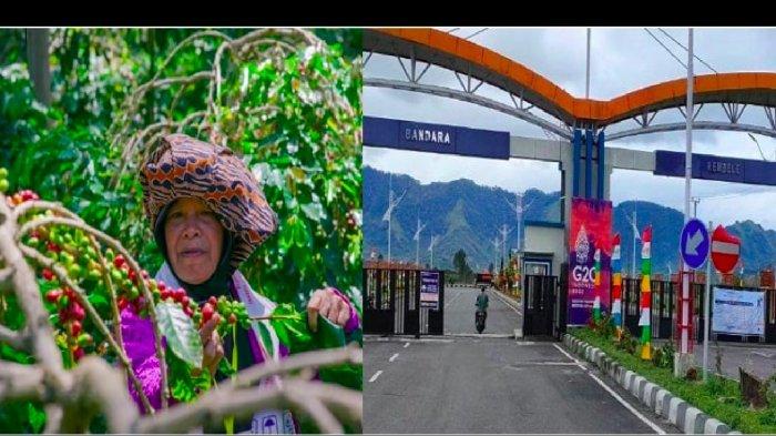 Update Jadwal Penerbangan Takengon ke Banda Aceh dan Sebaliknya, Cek Informasi Pemesanan Tiketnya