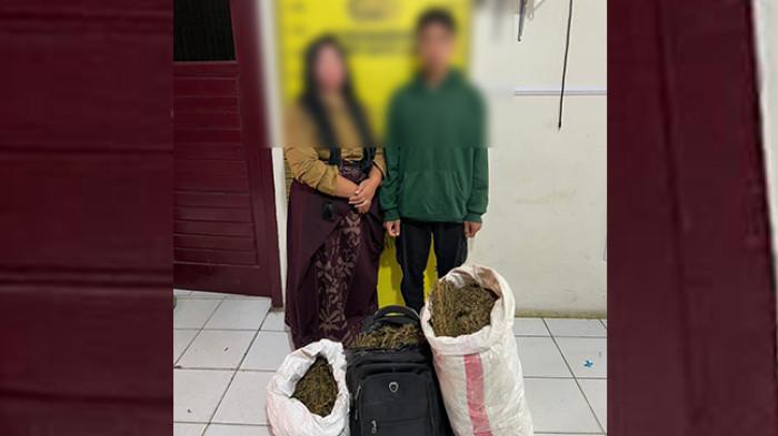 DIDUGA MENGEDAR GANJA - Satresnarkoba Polres Gayo Lues, menangkap dua orang tersangka pengedar ganja kering tujuan Takengon dan Bener Meriah, di lintasan Blangkejeren menuju Takengon di kawasan Kafe Puncak Godang Kecamatan Pantan Cuaca, kini kedua tersangka telah diamankan di Mapolres Gayo Lues, Jumat (31/10/2025).