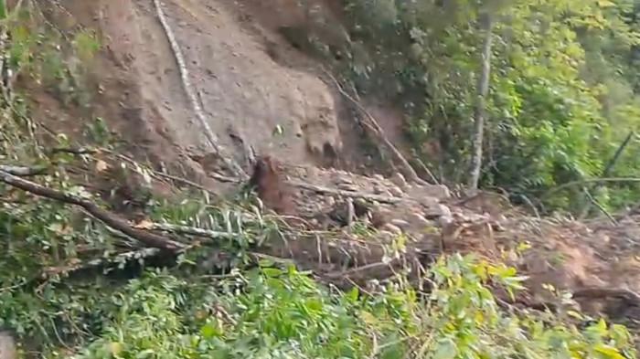 Arus transportasi Blangkejeren menuju Kutacane dan sebaliknya terganggu, akibat terjadi longsor di kawasan Tangsaran, Kecamatan Blangkejeren, Gayo Lues, Rabu (19/11/2025). (For Tribungayo.com)