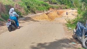 JALAN-AMBLAS-DI-GAYO-LUES-789.jpg