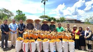 PANEN-RAYA-JAGUNG-BLANGPEGAYON.jpg