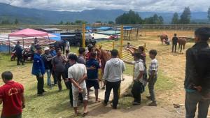 Panitia-pacuan-kuda-di-Kabupaten-Gayo-Lues-kini-masih-melakukan-proses-pengukuran-kuda.jpg