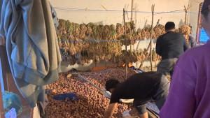 Petani-bawang-di-Desa-Kalang-Kecamatan-Lut-Tawar-Kabupaten-Aceh-Tengah.jpg