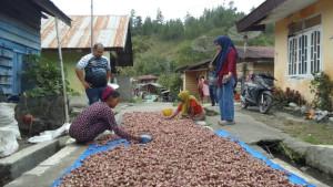 Sejumlah-petani-sedang-menjemur-bawang-merah.jpg