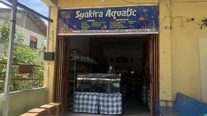 TOKO-AKUARIUM-DI-ACEH-TENGAH.jpg