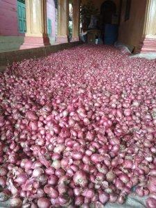 harga-bawang.jpg