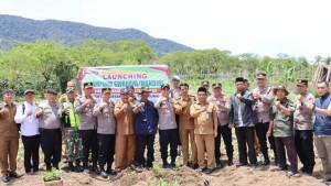 kampung-swadaya-binaan-di-Kampung-Paya-Tungel-Kecamatan-Jagong-Jeget.jpg