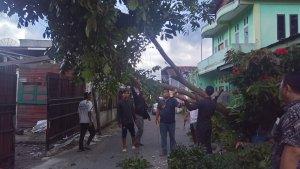 pohon-tumbang-disapu-angin-kencang.jpg