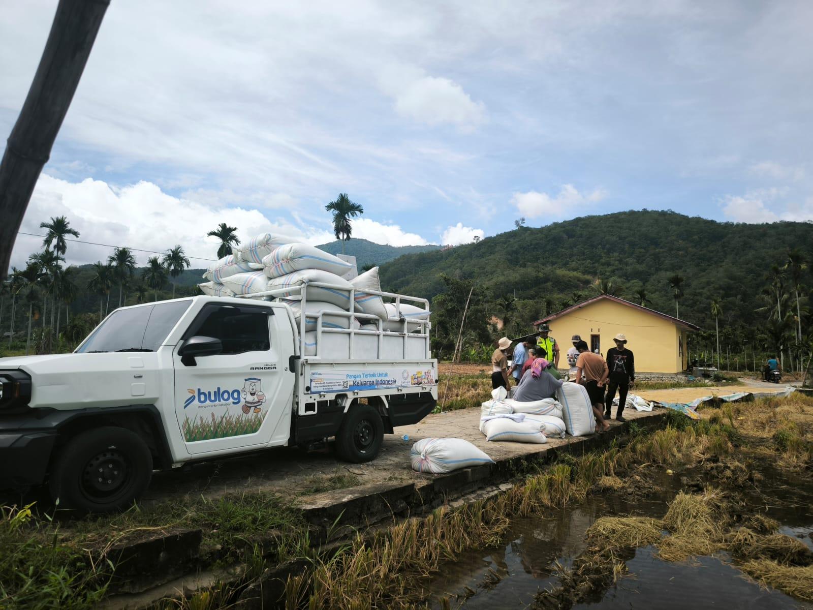 Bulog-Kutacane-menyerap-gabah-petani-di-Desa-Ujung-Barat.jpg