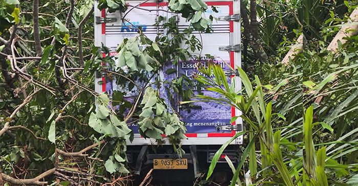 Kronologi Mobil Box Terjun ke Jurang di Bener Meriah