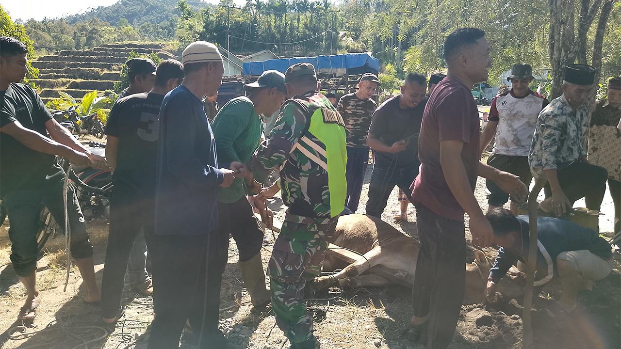 KURBAN-DI-BENER-MERIAH.jpg