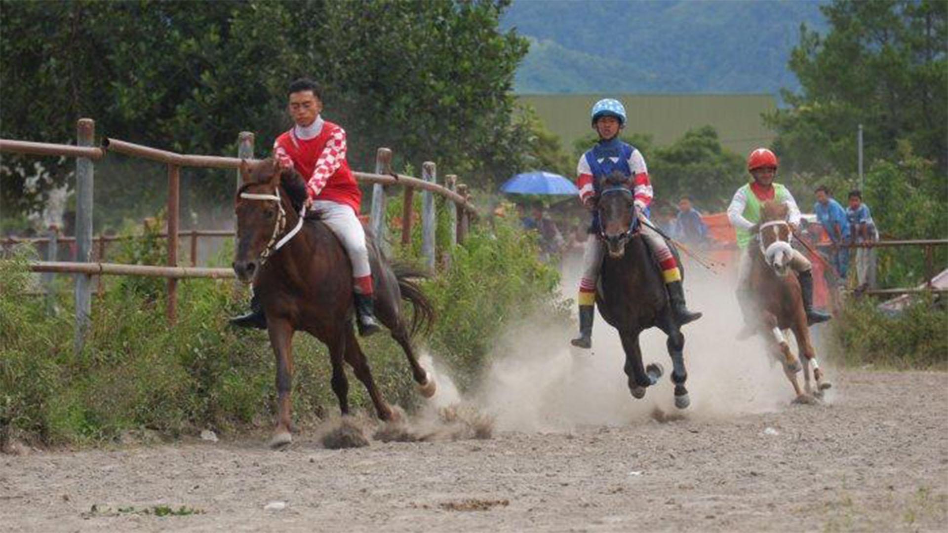 12 Ekor Kuda Bener Meriah Raih Juara dalam Pacuan Kuda di Aceh Tengah, Berikut Nama Pemenang