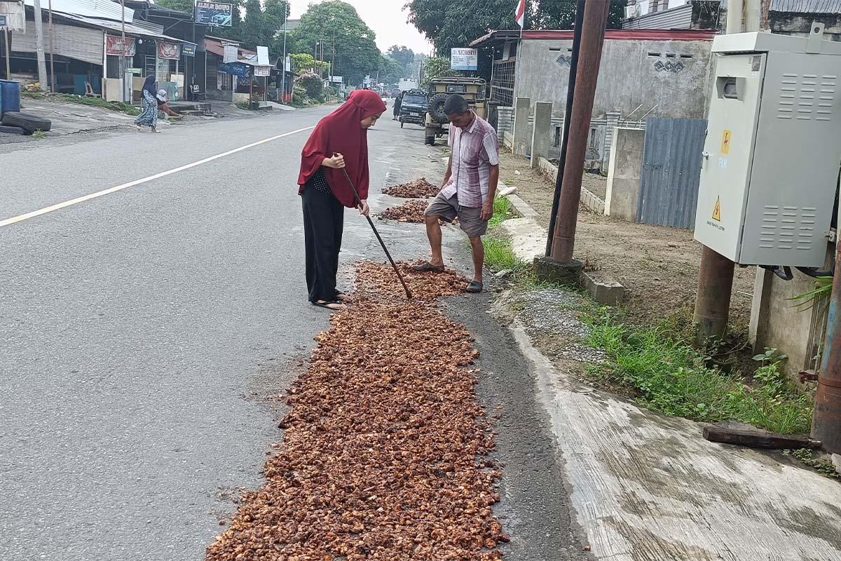 PETANI-MENJEMUR-KAKAO-3.jpg