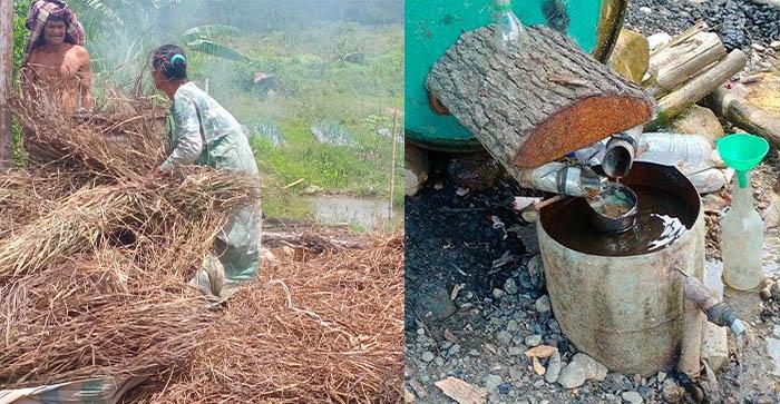 Harga Minyak Serai Wangi di Gayo Turun,  Segini Harga Saat Ini