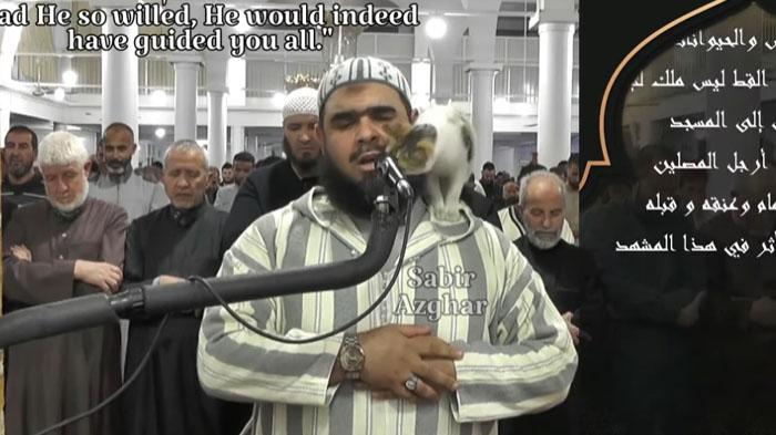 Pertanda-Baik-Seekor-Kucing-Melompat-ke-Atas-Imam-di-Algeria-yang-Tengah-Lantunkan-Bacaan-Al-Quran.jpg