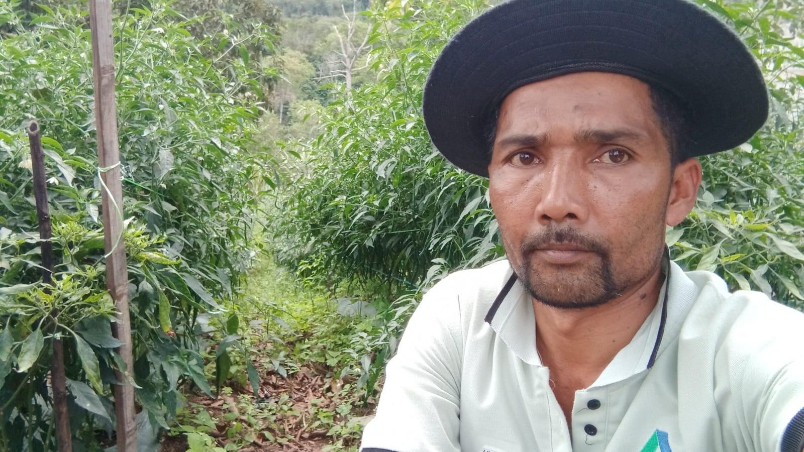 Petani di Aceh Tengah Kembangkan Pupuk Organik dari Sekam Padi dan Kotoran Ternak