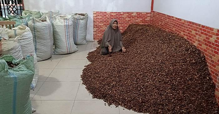 TOKE-KAKAO-KERING-DI-ACEH-TENGGARA.jpg