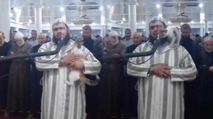 Viral Tingkah Lucu Kucing Cium Pipi Imam saat Shalat Tarawih