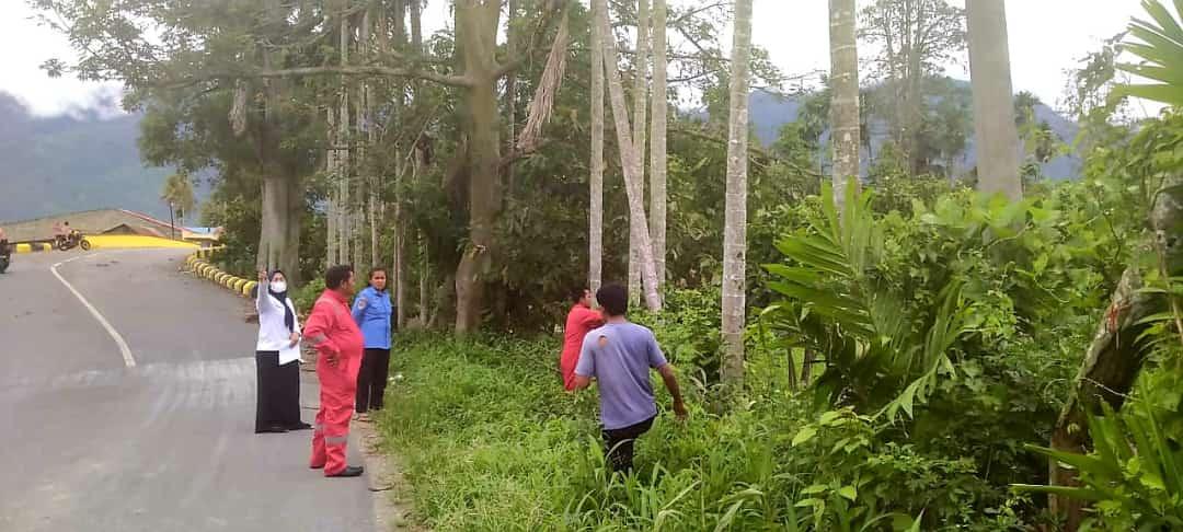 Pohon yang Tinggi Ancam Keselamatan Penerbangan di Bandara Alas Leuser Aceh Tenggara, Butuh Ditebang