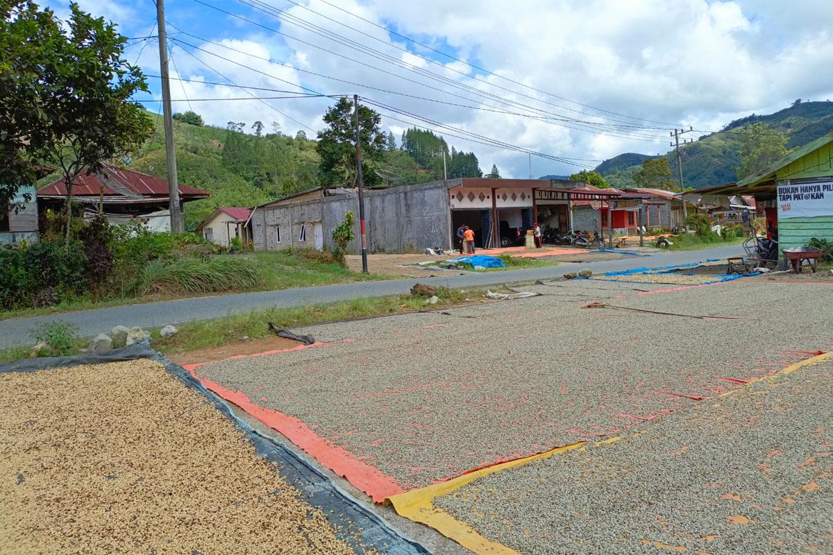 kopi-gayo-hari-ini-14.jpg