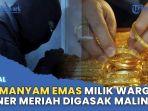 43-Manyam-Emas-Milik-Warga-Bener-Meriah-Digasak-Maling.jpg