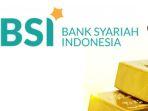 BSI.jpg