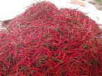 HARGA-CABAI-MERAH-TURUN-DI-ACEH-TENGAHHH.jpg