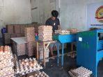HARGA-TELUR-AYAM-NAIK-DI-ACEH-TENGAHH.jpg