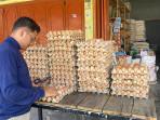 HARGA-TELUR-DI-TAKENGON-2507.jpg