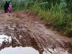 JALAN-RUSAK-DI-PEGASING-ACEH-TENGAHH-3.jpg