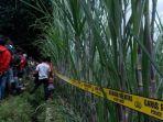 LADANG-TEBU-DITEMUKAN-JENAZAH.jpg