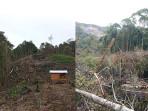 PERAMBAHAN-HUTAN-LINDUNG-DI-WIH-TERJUN.jpg