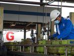PERTAMINA-TABUNG-ELPIJI-3-KG.jpg