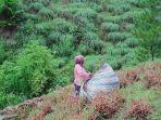 PETANI-SERAI-WANGII.jpg