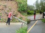 Pohon-tumbang-di-jalan-lintas.jpg