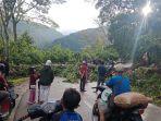 Pohon-tumbang-terjadi-di-kawasan-Tangsaran.jpg