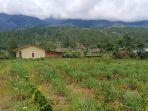 Serai-Wangi-Gayo-Lues-20220906.jpg