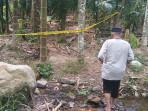 TKP-PENEMUAN-KORBAN-DI-KEBUN.jpg