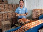 Telur-Naik-Lagi.jpg