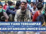 UNHCR-dan-IOM-Siap-Menangani-Pengungsi-Rohingya-yang-Terdampat-di-Indra-Patra.jpg