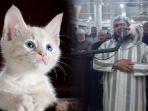 Viral-Kucing-Ini-menggosokkan-kepalanya-ke-Wajah-Imam-saat-Shalat-Ternyata-Miliki-Maksud-Tertentu.jpg