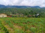 gayo-lues2.jpg